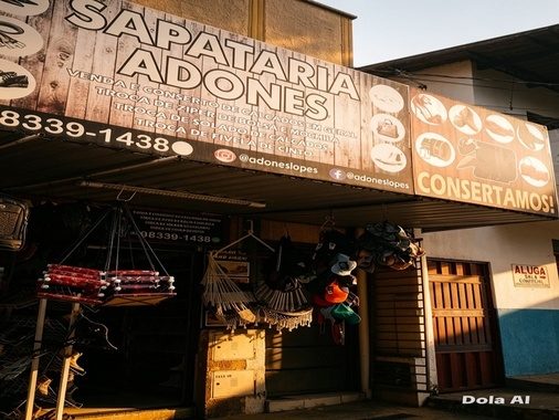 Sapataria adones